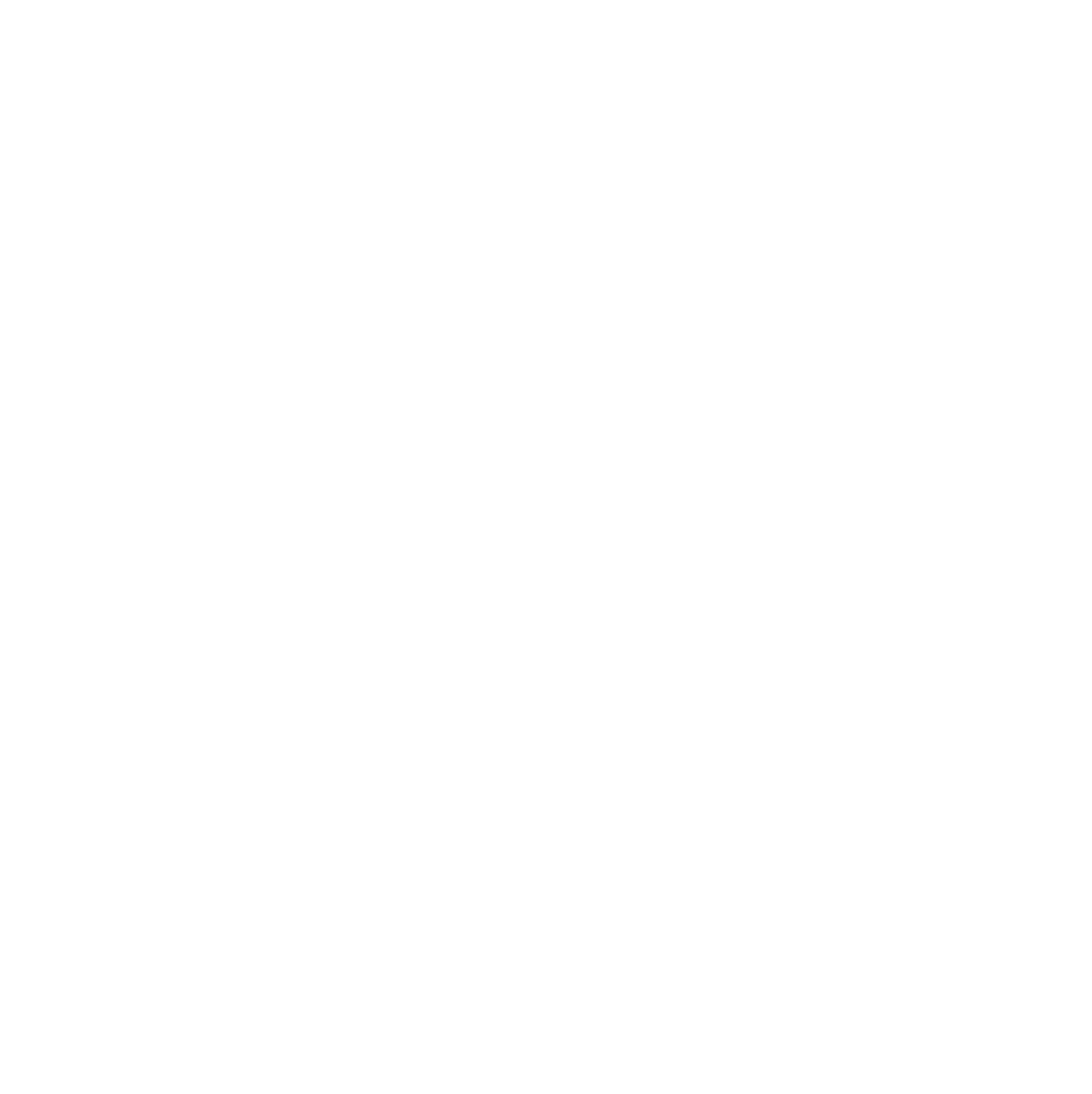 express checkout button